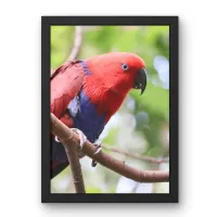 Copy of dea 12x16 – Image 1
