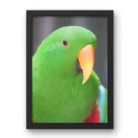 beri 8x12 – Image 1