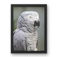 Copy of dcj 12x16 – Image 1