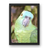 Curious Gaze – Image 1