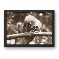 A Moment to Preen – Image 3