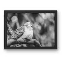 Softly Settled – Image 2