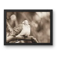 Softly Settled – Image 3