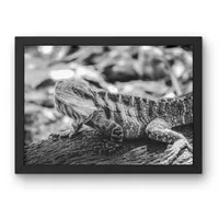 Sunlit Scales – Image 2