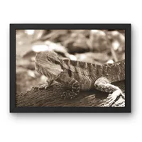 Sunlit Scales – Image 3