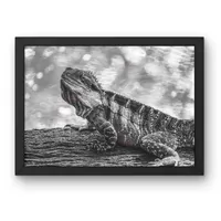 Quiet Majesty – Image 2