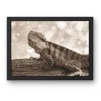 Quiet Majesty – Image 3
