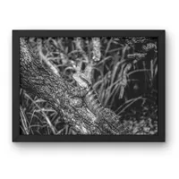 Tree Trunk Watch  – Image 2