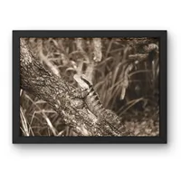 Tree Trunk Watch  – Image 3
