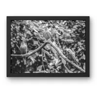 Three in the Treetops – Image 2