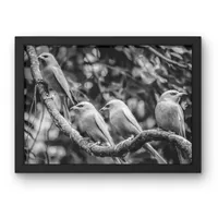 Four on a Branch – Image 2