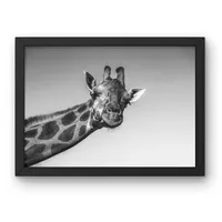 Hello Up There – Image 2