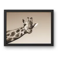 Hello Up There – Image 3