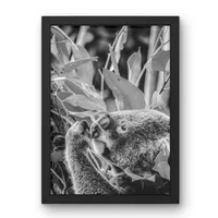 Among the Gum Leaves – Image 2