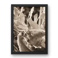 Among the Gum Leaves – Image 3