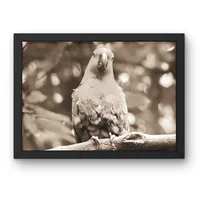 Crimson Confidence – Image 3