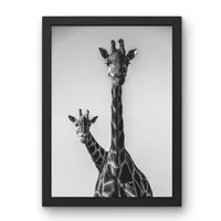 Tall Curiosity – Image 2