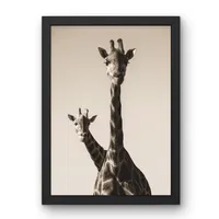 Tall Curiosity – Image 3