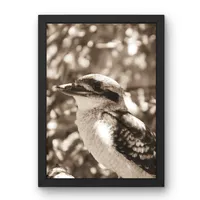 Bushland Watch – Image 3