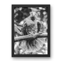 Crimson Display – Image 2