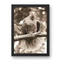 Crimson Display – Image 3