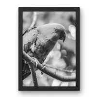 Crimson Canopy – Image 2