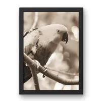 Crimson Canopy – Image 3