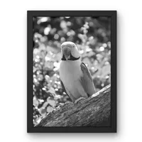 Canopy Calm – Image 2