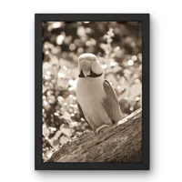 Canopy Calm – Image 3