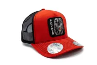 Hat - 10 Entradas – Panther