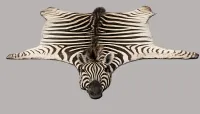 Zebra Rug – Image 1
