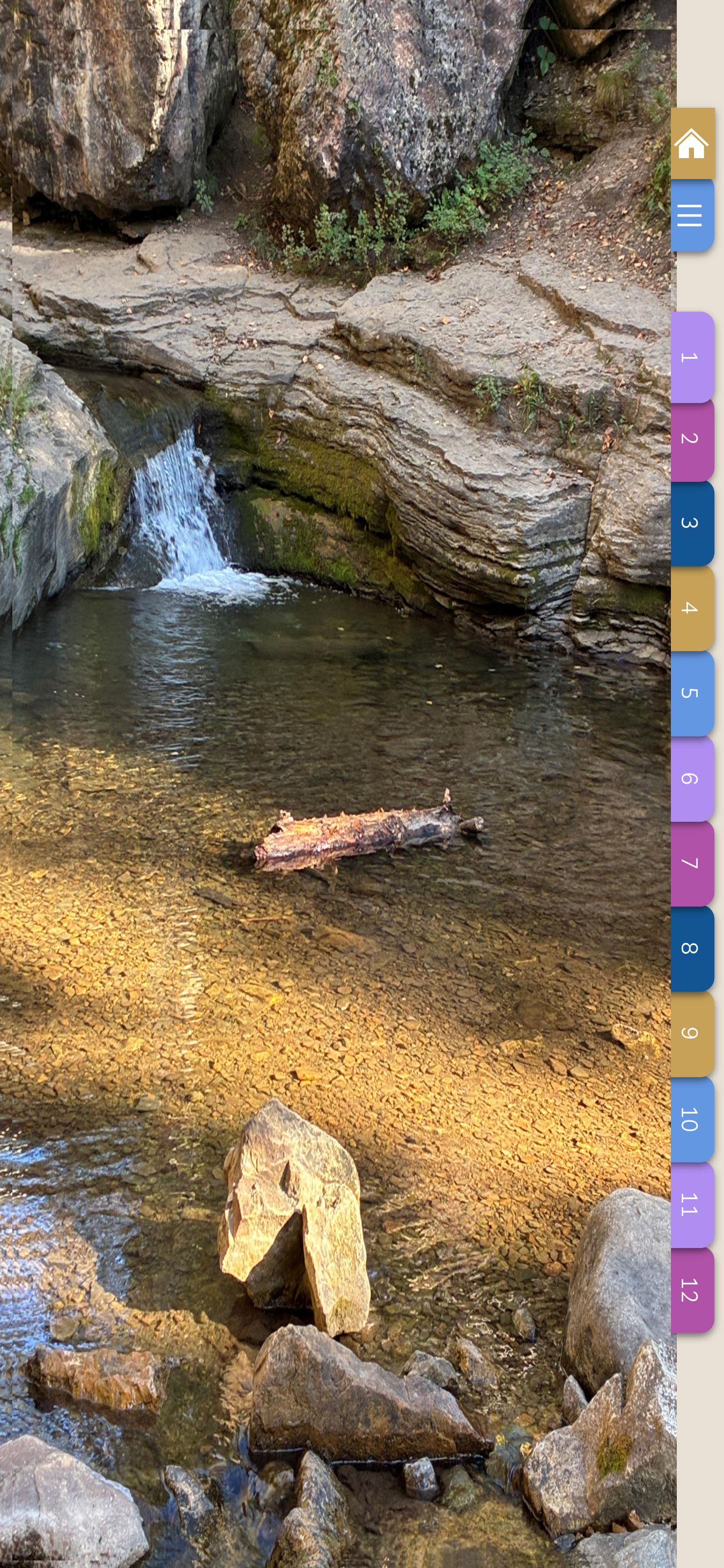 2026 Smartphone Digital Planner & Notebook Set  - Waterhole – Image 1