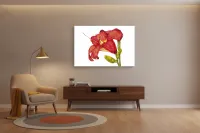 Hi Lily – Image 1