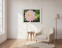 Rainy Day Dahlia – Image 1