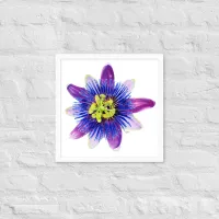 Passion For Life – Image 1