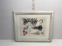 Framed Vintage Lily Botanical Print - Rustic White Wood Frame (10" x 12") – Image 2