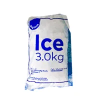 Daytona 3.0kg Ice bag – Image 1