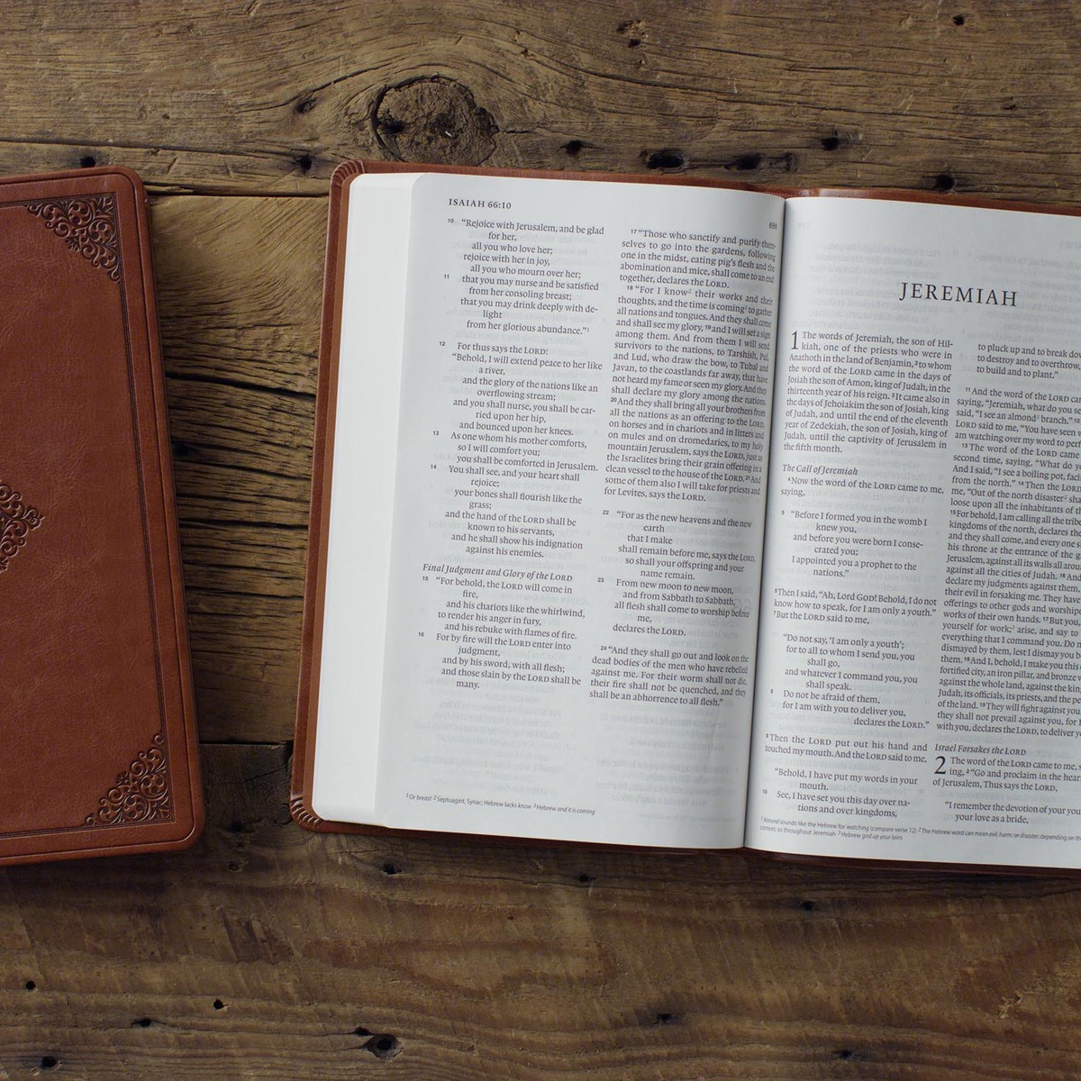ESV Large Print Value Thinline Bible (TruTone, Tan) – Image 2