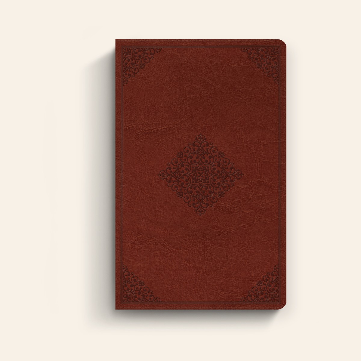 ESV Large Print Value Thinline Bible (TruTone, Tan) – Image 1