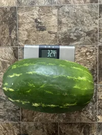 Red Seeded Watermelon (Large) – Image 1