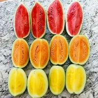 Duo Drop: 1 Red + 1 Yellow/Orange Seeded Watermelons – Image 2