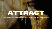 Attract Mini Course – Image 1