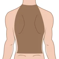 Espalda (Él) – Imagen 1