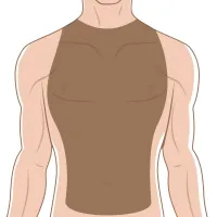 Oferta Especial Depilación Láser (El) – Pecho+Abdomen