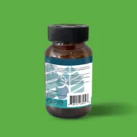 Your Wellbeing Pre-Probiotic >5 Billion – Image 3