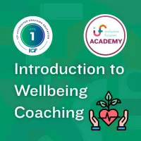 Introduction to Wellbeing Coaching – Image 1