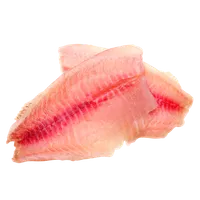 Filete Tilapia – Image 1