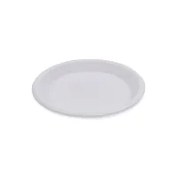 Plastic Plate – Image 1