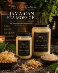 Jamaican Sea Moss Gel – Wildcrafted Mineral-Rich Wellness Support – Image 1