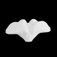Cerebellum – Image 4